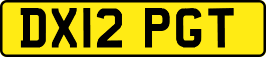 DX12PGT