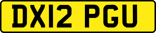 DX12PGU