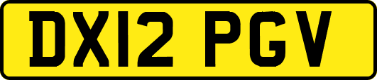 DX12PGV