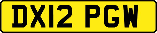 DX12PGW
