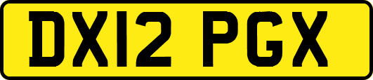 DX12PGX