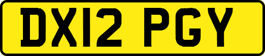 DX12PGY
