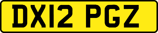 DX12PGZ