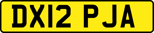 DX12PJA