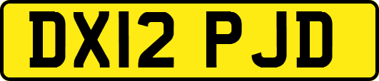 DX12PJD