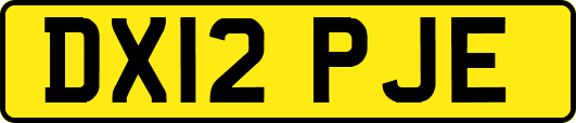 DX12PJE