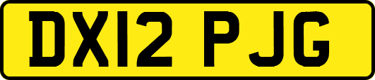 DX12PJG