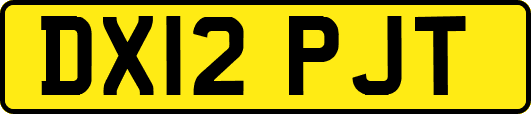 DX12PJT
