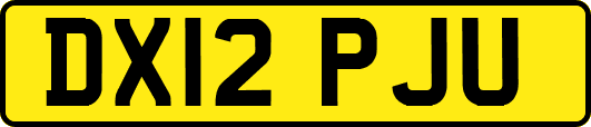 DX12PJU