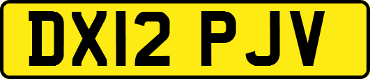 DX12PJV