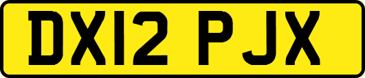 DX12PJX