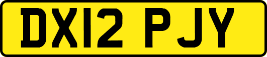 DX12PJY