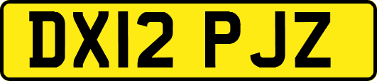 DX12PJZ