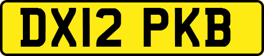 DX12PKB