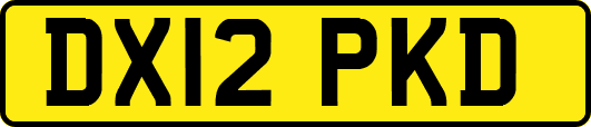 DX12PKD