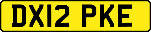DX12PKE
