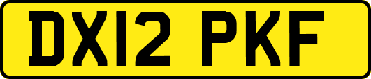 DX12PKF
