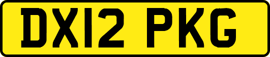 DX12PKG