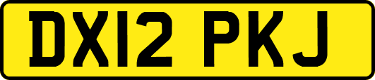 DX12PKJ