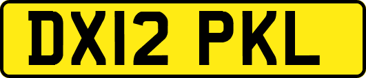 DX12PKL