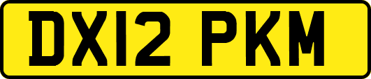 DX12PKM
