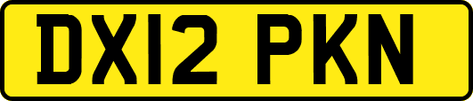 DX12PKN