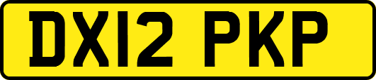 DX12PKP