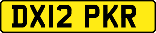 DX12PKR