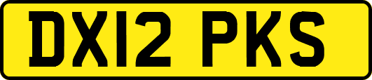 DX12PKS