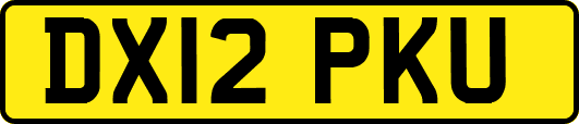 DX12PKU