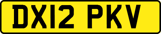 DX12PKV