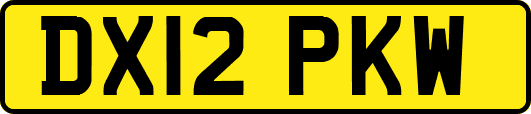 DX12PKW