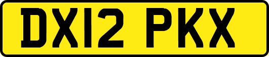 DX12PKX