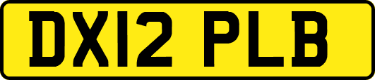 DX12PLB
