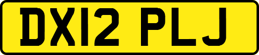 DX12PLJ