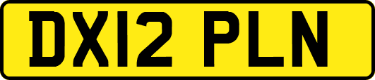 DX12PLN