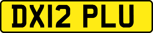 DX12PLU
