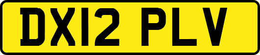 DX12PLV