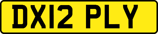DX12PLY