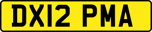 DX12PMA