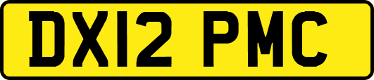 DX12PMC