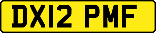 DX12PMF