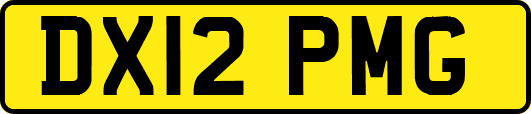 DX12PMG