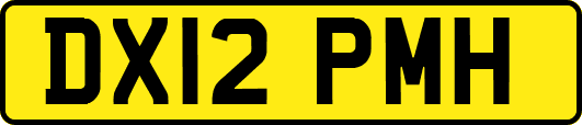 DX12PMH
