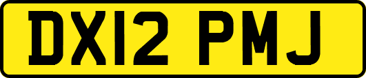 DX12PMJ