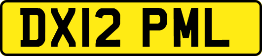 DX12PML