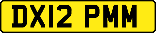 DX12PMM