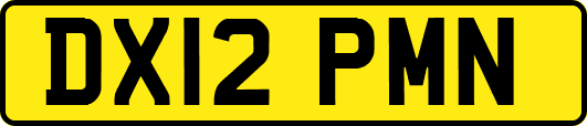 DX12PMN