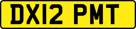 DX12PMT