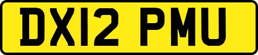 DX12PMU